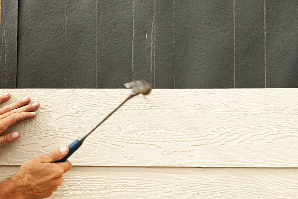 Best Historical Building Siding Restoration  in Mehlville, MO